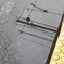 雨上がり