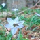 2019-03-21-19-34-11 600
