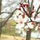 2019-03-21-19-35-17 7-00
