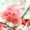 2019-03-21-19-35-42 