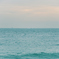 海