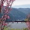 大井川鉄道ほのぼの風景！②