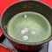 春のお茶
