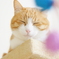6D002F0D-33B5-45EB-88B1-5F9938FAB971