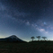 草原の星達