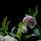 854ED166-B2CE-4E5A-AB91-7471328FB384