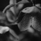 392AE3B6-D0EA-4A3C-835F-E15D8DE7C82F