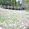 ある公園にて