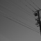 電線オタク