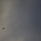 in the sky