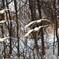 IMG_20190224_022550