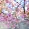 B2CCD6AD-35D0-4D17-B312-D927933C77E7