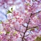 83C52278-E062-4CBD-908F-BFC9D3C5DB90