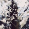 5FA63C76-1024-4A9A-BD9B-3B0A3BA392F6