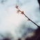 2365A118-10B4-472A-BD35-FBFF3C92DB9F