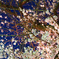夜桜