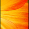 ~~CoLor.~~ 07