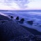 駿河の海岸