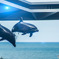 PSX_20190329_182807