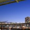 橋