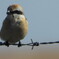 DSCN0374