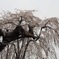 30465B9B-E801-47DD-BE20-F0D642C6F803