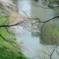 春のささやき～Whisper of spring♪