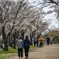 大阪城公園