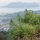 DSC00109
