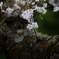 hI5D_2843p