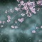 平成最後の年度末