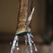 水はおちる