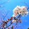7D00370F-BD04-4F09-B3B5-12E5C0494DD3