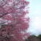 春１