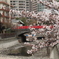 ３月　１