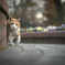 春