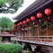 早春の上七軒 2019 その７