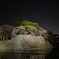 名古屋城 １