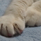 あんよ