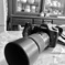 EOS5D+Tamron 90mm macro lens