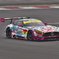 SUPERGT 2019 FSWテスト 8
