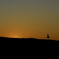 美瑛（夕日の木）