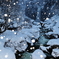 春の雪日和