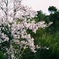 F055C837-6735-4055-B996-DED2DC66FD48