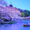 穏やかな光景