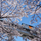 Tama Monorail 20th Anniversary !!