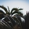C49D0012-7445-4FCF-B5CB-2917A14D4738