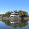 皇居