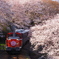 花桃号　w(￣o￣)w ｵｵｰ!