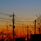 夕刻